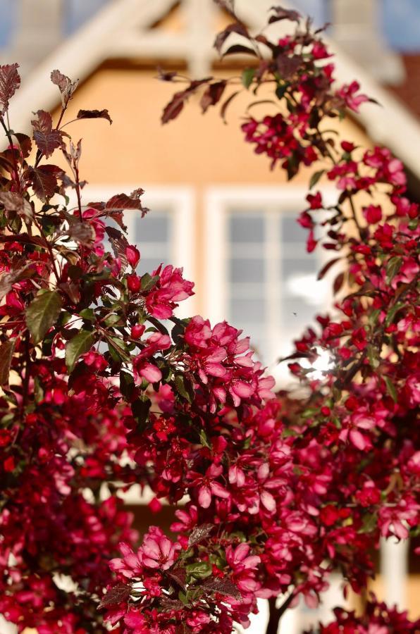 Hidingsta Gard B&B Örebro Exteriér fotografie